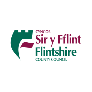 Flintshire County Council.jpg