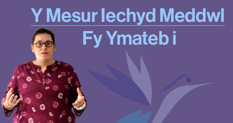Y Mesur Iechyd Meddwl – Fy Ymateb i